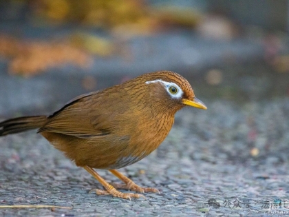 海安公安抓獲3名嫌疑人！